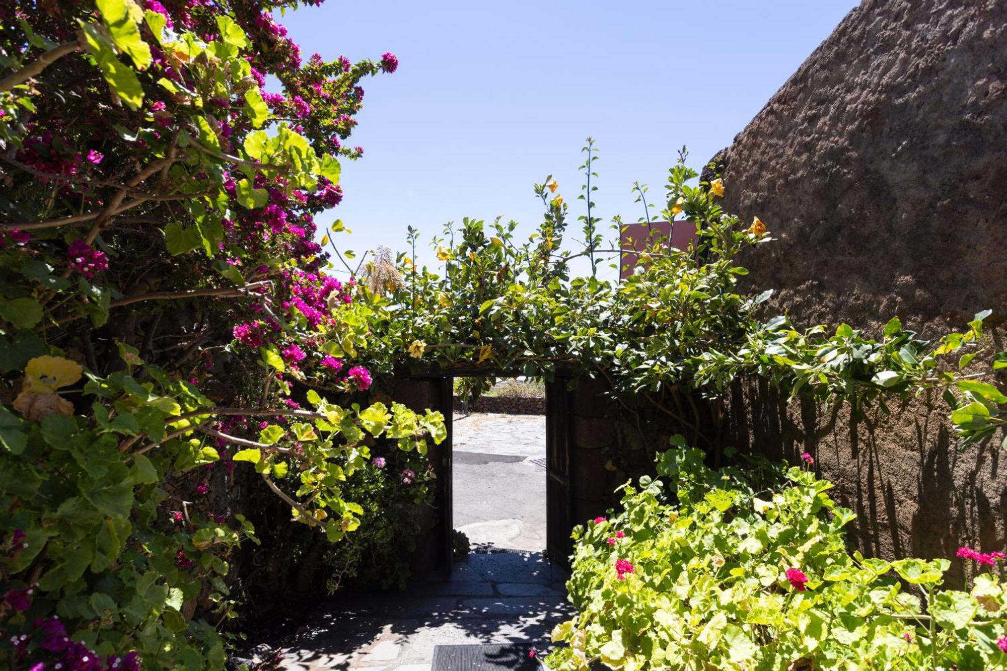 Charming Rustic House El Pinar & Wifi Konuk evi Dış mekan fotoğraf